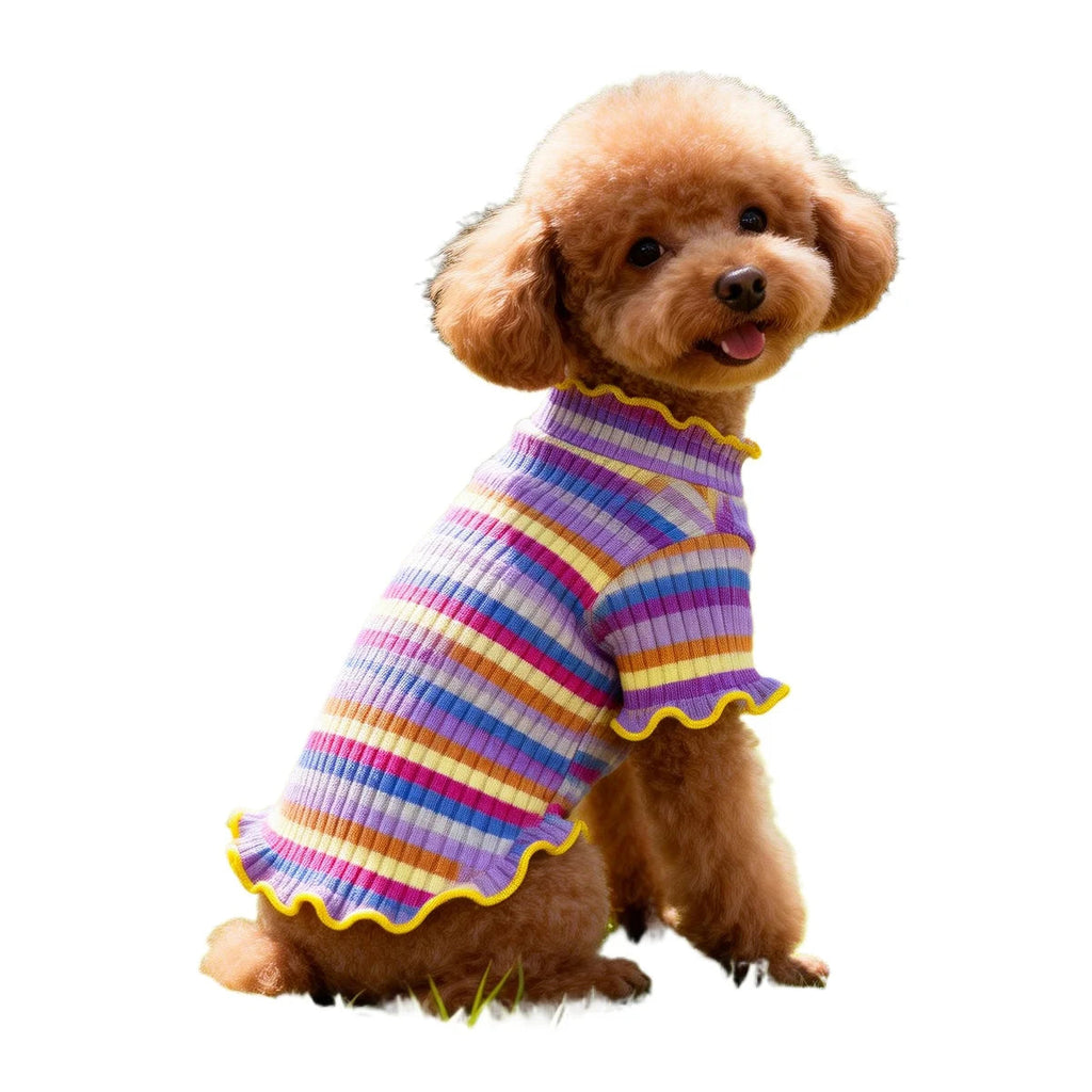 Playera de rayas arcoíris con olanes para perro en un perro feliz y coqueto.