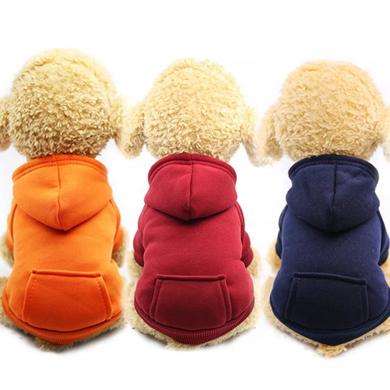 trois sudaderas con capucha para perro de algodón afelpado en orange, rouge et bleu