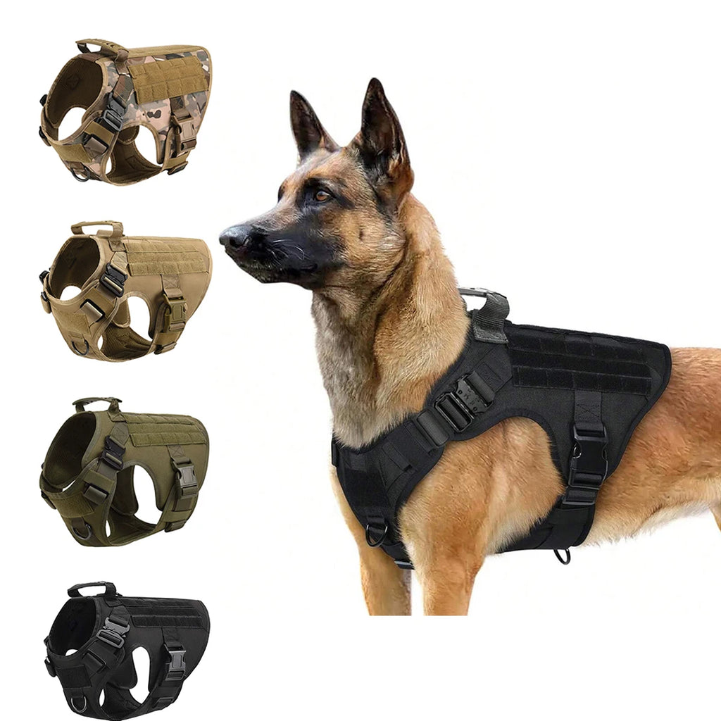 Arnés táctico ajustable para perro PETRAVEL en varios colores, conçu pour sécurité et confort.