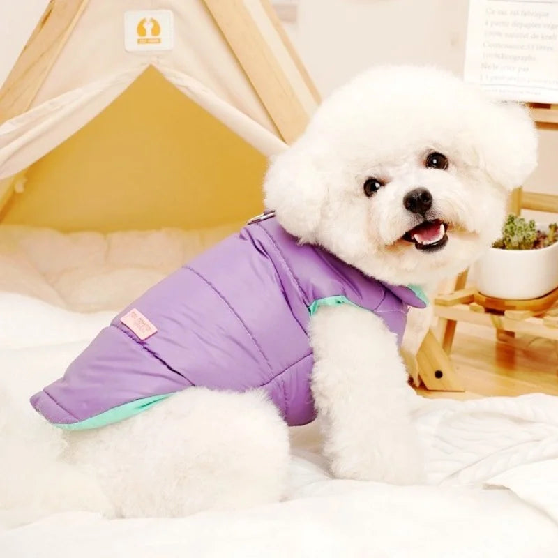 Perro usando una chamarra reversible para perro de color morado, ideal para el otoño y el invierno.