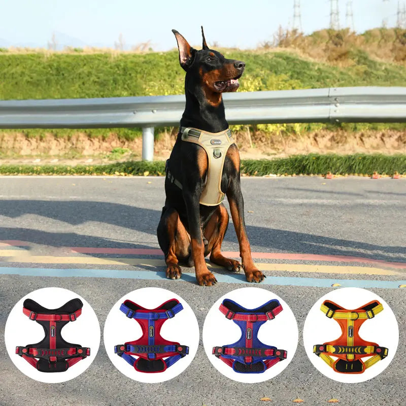 Arnés tipo chaleco reflejante para perro en un Doberman, mostrando comodidad y estilo durante el paseo.