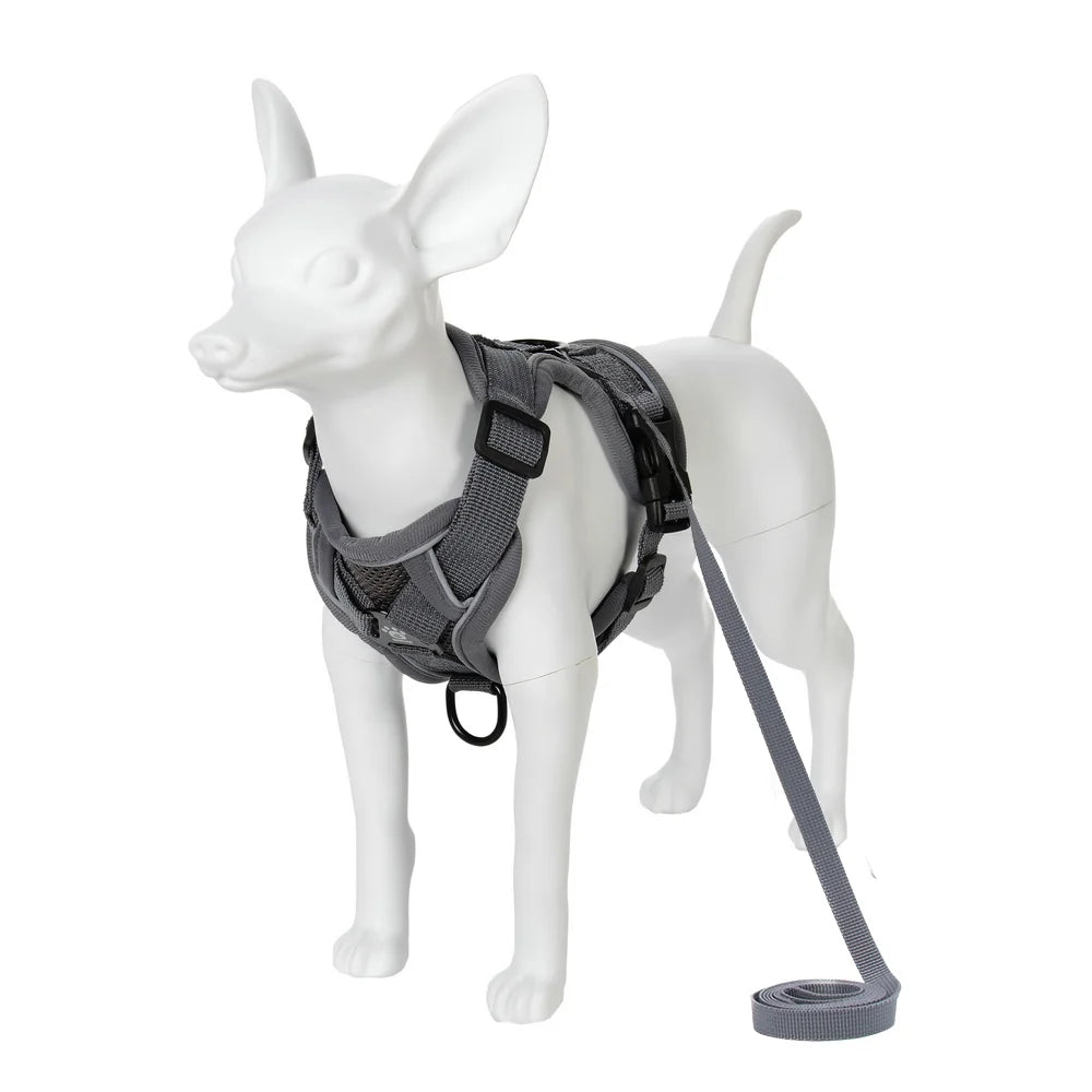 Arnés ajustable y correa para perro sur un modèle en plastique blanc, idéal pour les promenades confortables.