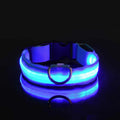 Collar LED para perro luminoso de nylon en color azul brillando en la oscuridad.
