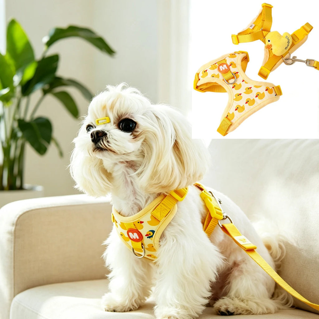 Conjunto de arnés y correa para perro pequeño en un perro pequeño de color blanco con un diseño divertido.