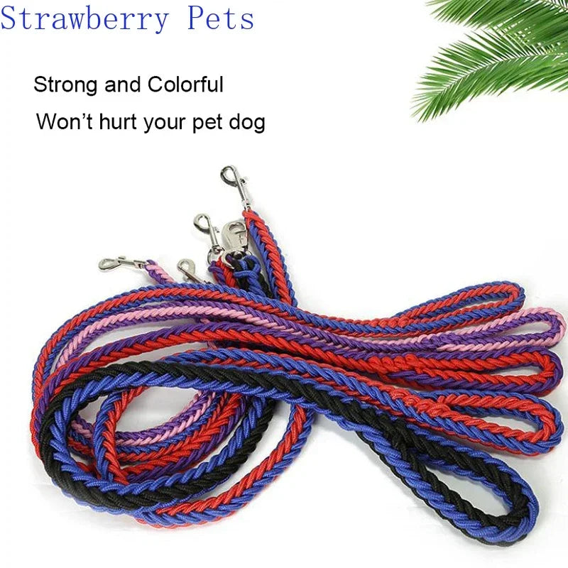 Correa de nylon para perro reforzada de colores vibrantes, fuerte y cómoda para paseos.