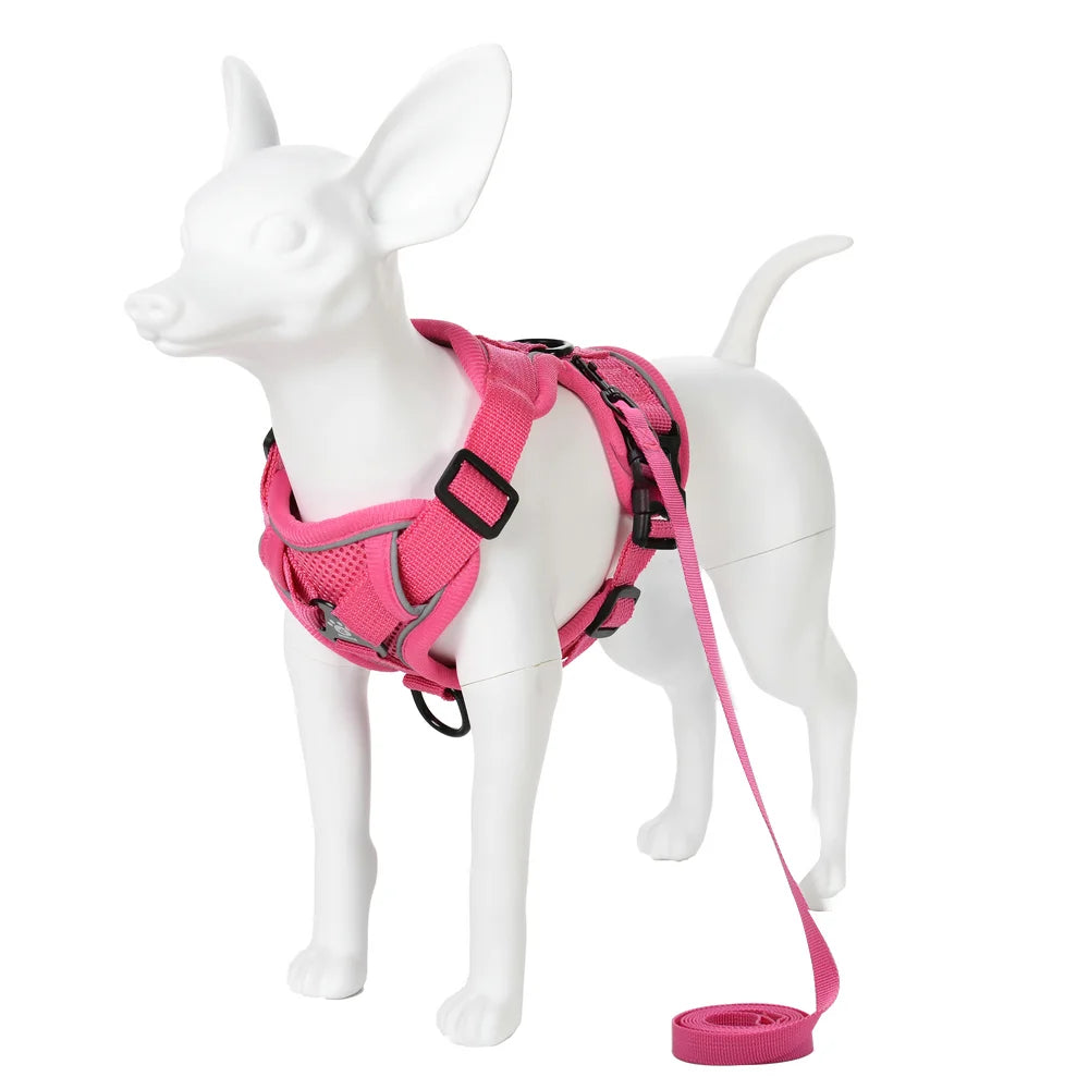 Arnés ajustable y correa para perro en rose sur un mannequin canin pour promenade confortable.