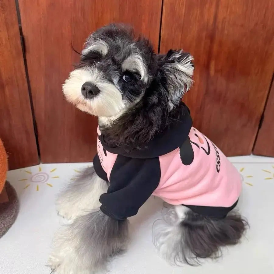Sudadera rosa con capucha y mangas negras para perro, diseño moderno y cómodo para días fríos.