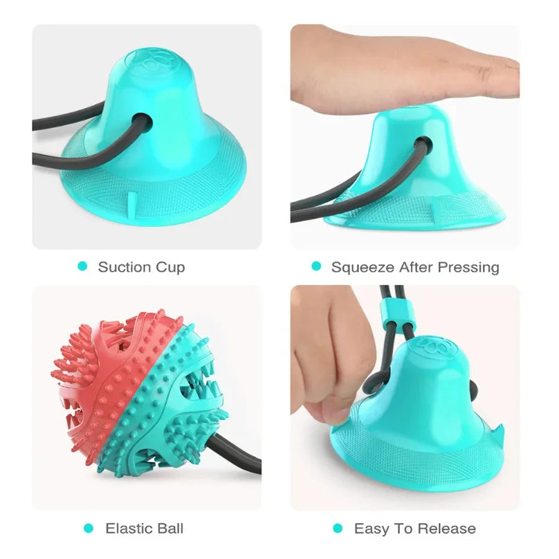 Juguete interactivo con ventosa para perro, mostrando la ventosa, la bola elástica et étapes d'utilisation.