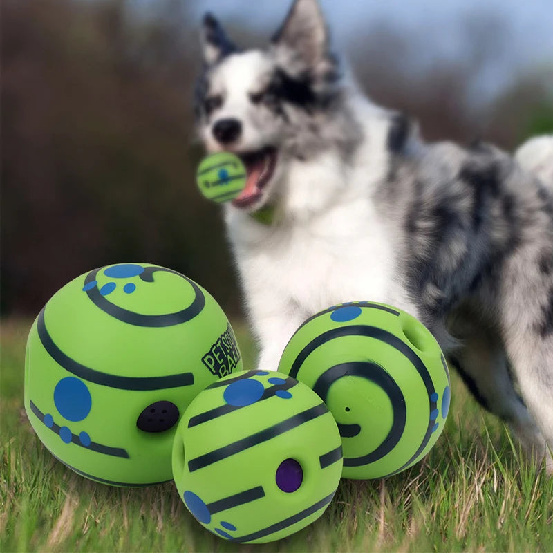 Pelota interactiva con sonido para perro Giggle Ball et chien jouant avec des balles colorées.