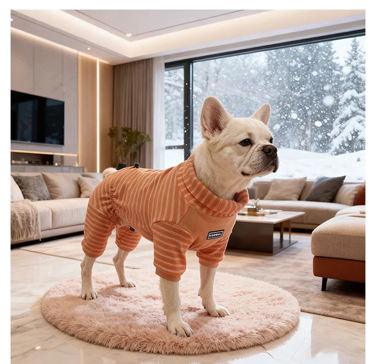 Un chien portant un pijama de rayas para perro con cuello alto, relaxant dans un intérieur moderne.
