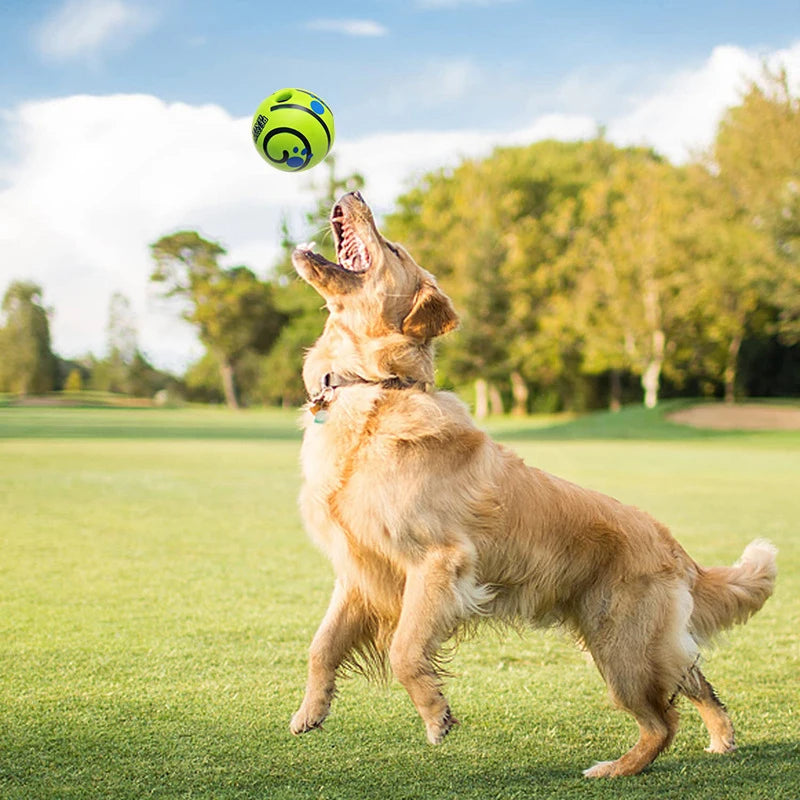 Un chien golden retriever jouant avec la pelota interactiva con sonido para perro Giggle Ball dans un parc.