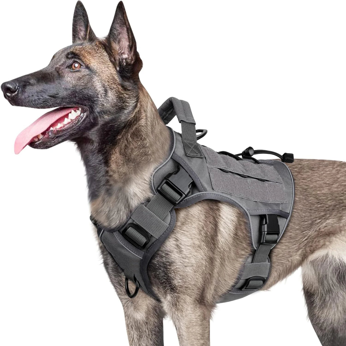 Arnés táctico para perro antitirones con asa, diseño cómodo y controlable pour chiens actifs
