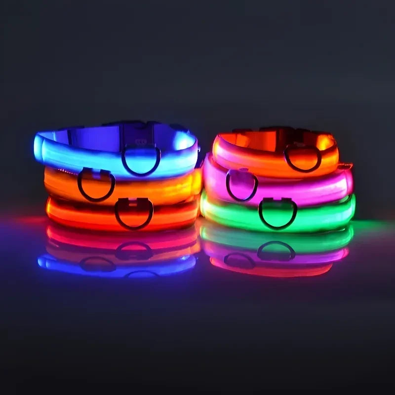 collar led para perro luminoso en colores vibrantes, brilla en la oscuridad para mayor visibilidad y seguridad.