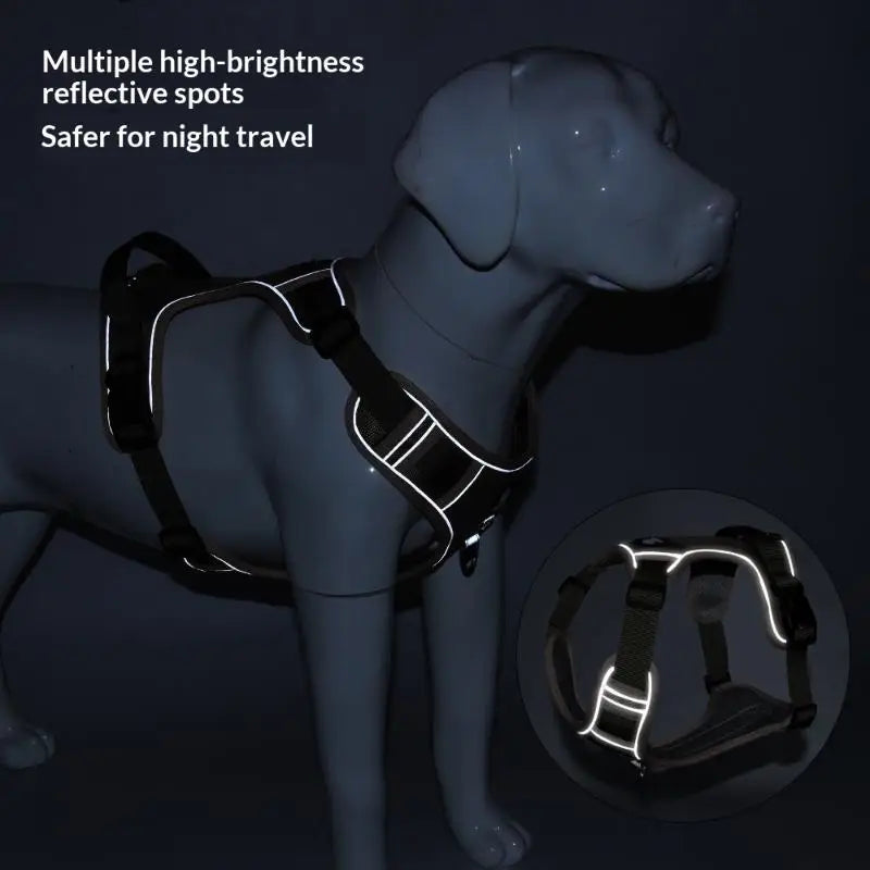 Arnés ajustable reflejante para perro en un labrador con puntos reflectantes brillantes, ideal pour la sécurité nocturne.