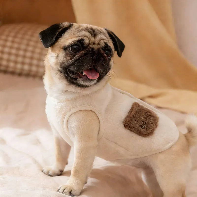 Chaleco de pana con osito para perro, cachorro feliz con abrigo blanco en un ambiente acogedor.