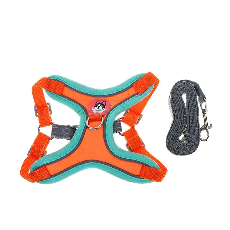 arnés con correa ajustable y reflejante para perro Mitzon de couleur orange et turquoise, avec une laisse grise