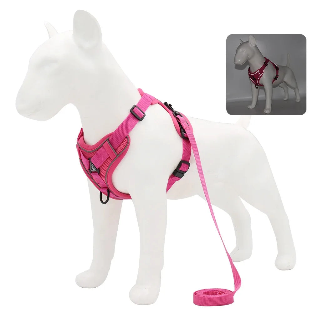 arnés y correa resistente para perro mediano y cachorro en rose porté par un mannequin canin.