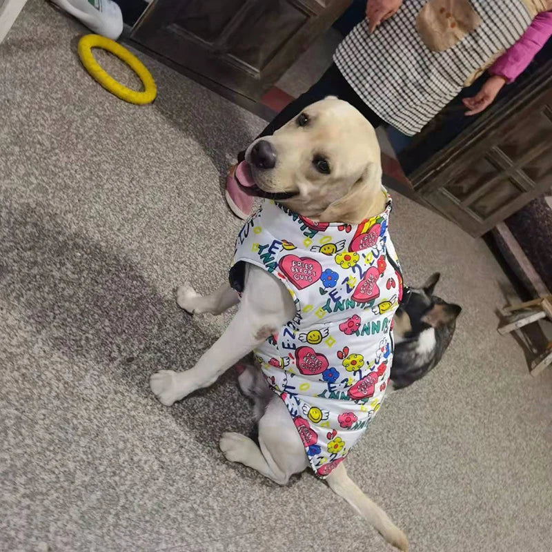 Chamarra impermeable para perros con broche, perro feliz con abrigo colorido en un ambiente acogedor.