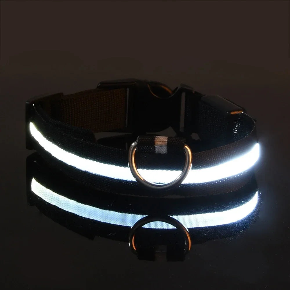 collar led para perro luminoso de nylon en color negro con luz reflectante