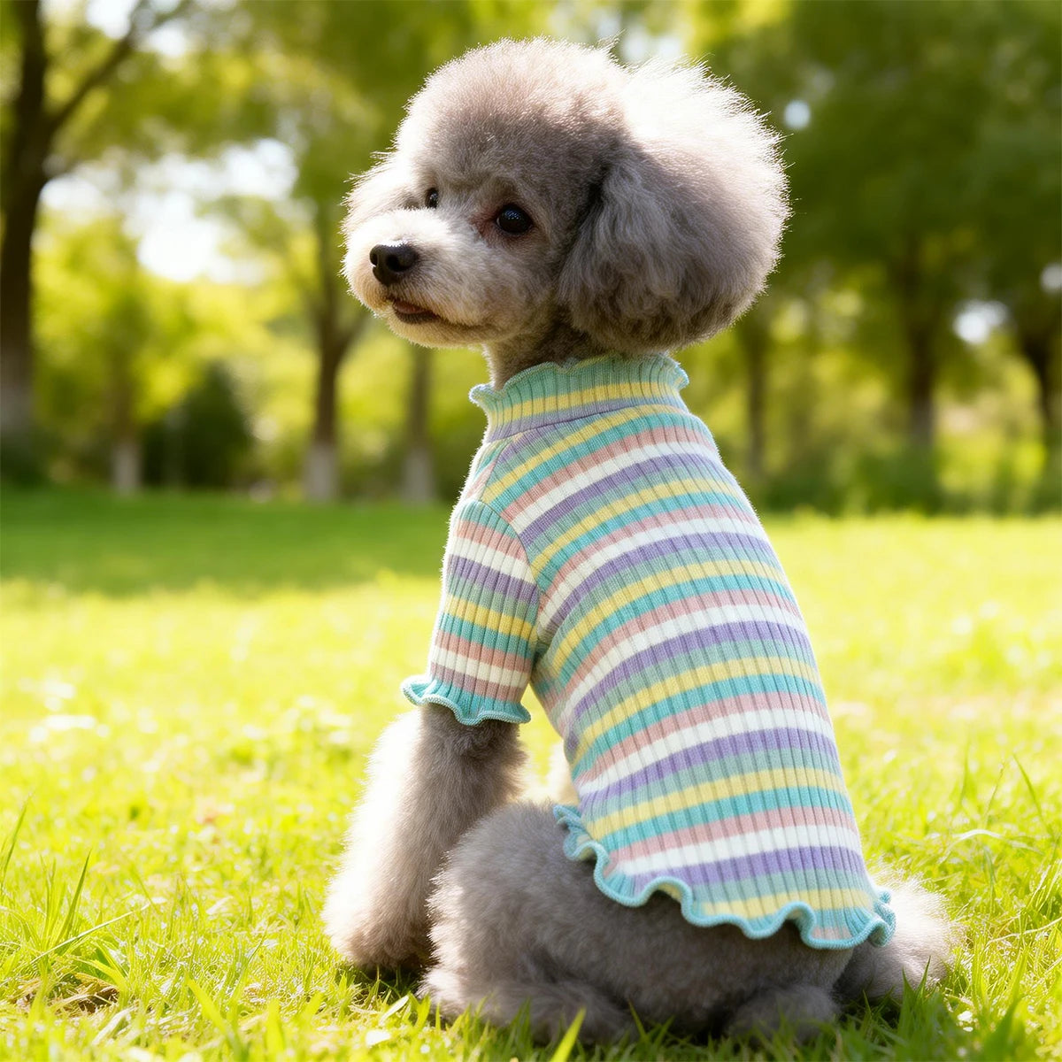 Playera de rayas arcoíris con olanes para perro, un perro con un atuendo colorido et élégant dans un parc.