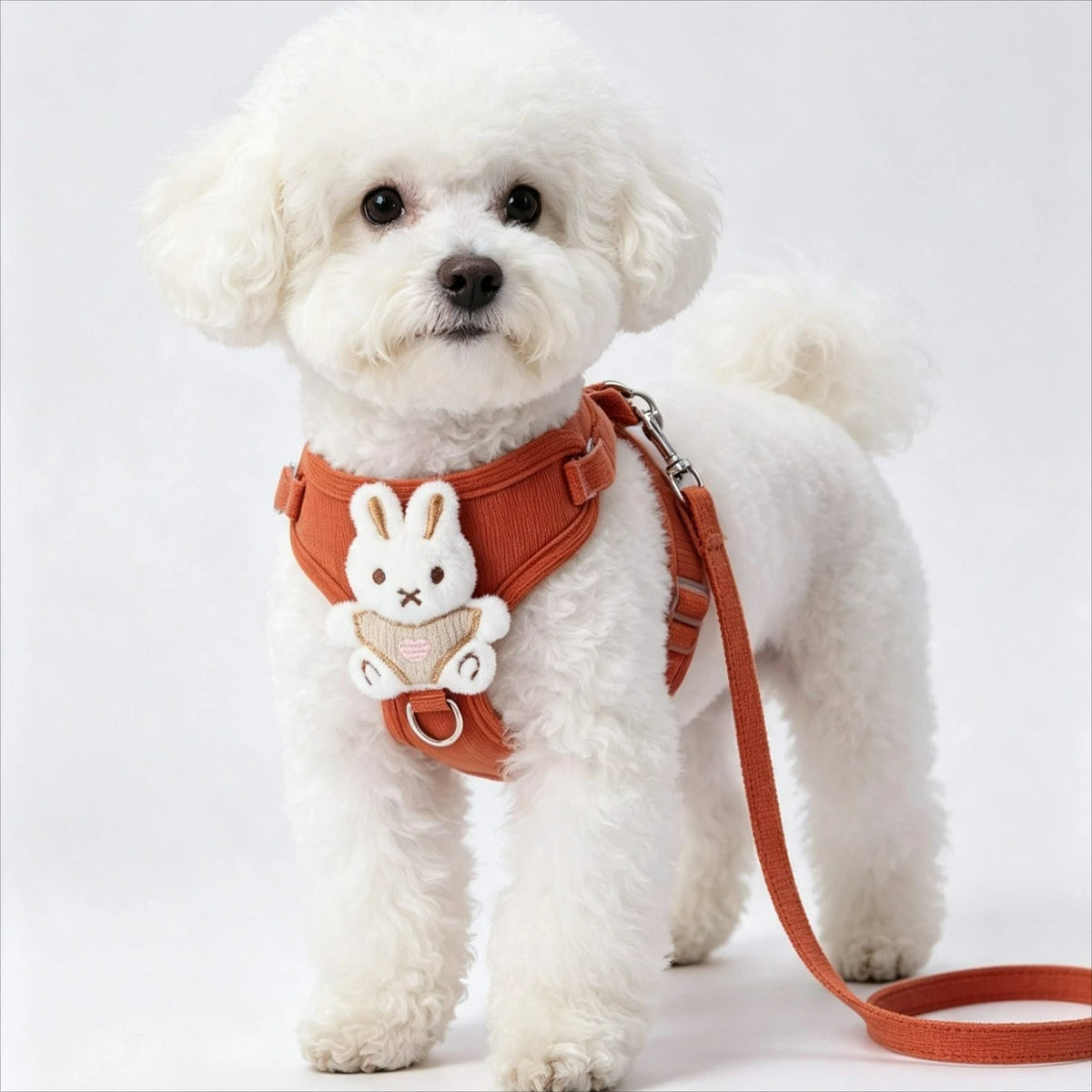 Arnés ajustable de malla para perro pequeño, vestido par un perro pequeño blanco con un arnés naranja y un diseño de conejo.