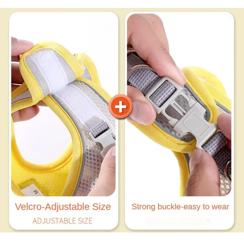 Arnés reflejante y transpirable con correa para perro, présentant une taille ajustable avec Velcro et une boucle robuste.