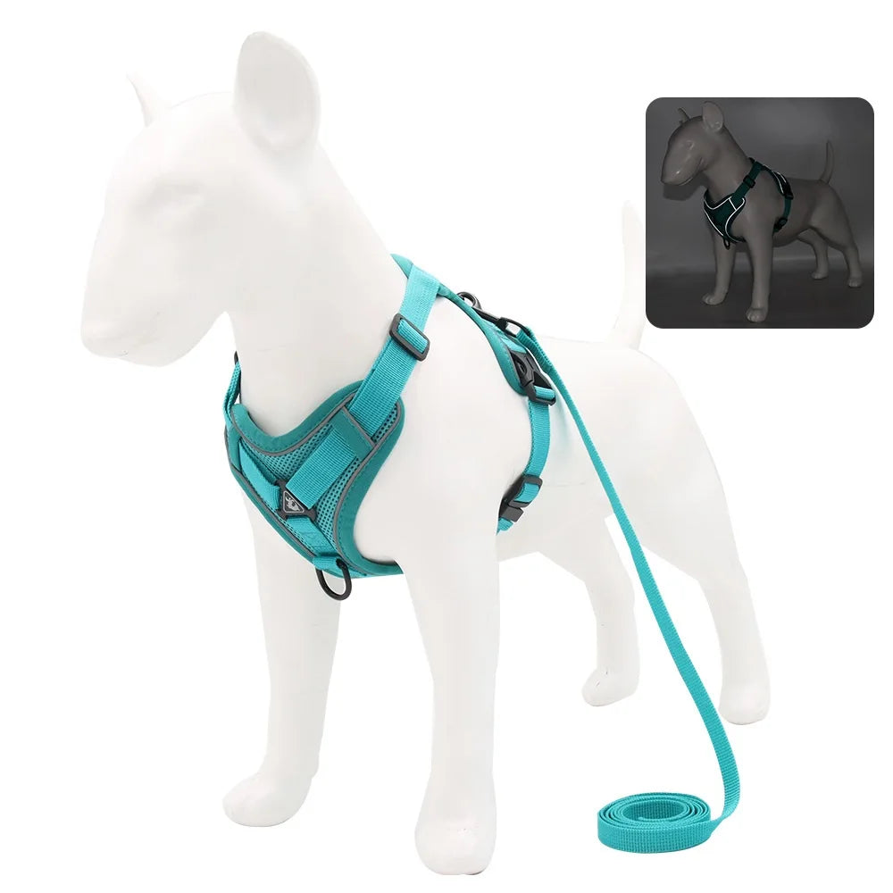 arnés y correa resistente para perro mediano y cachorro en couleur turquoise pour une promenade confortable.