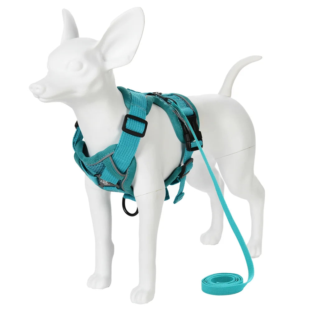 Arnés ajustable y correa para perro de color aqua, présenté sur un chien en plastique.