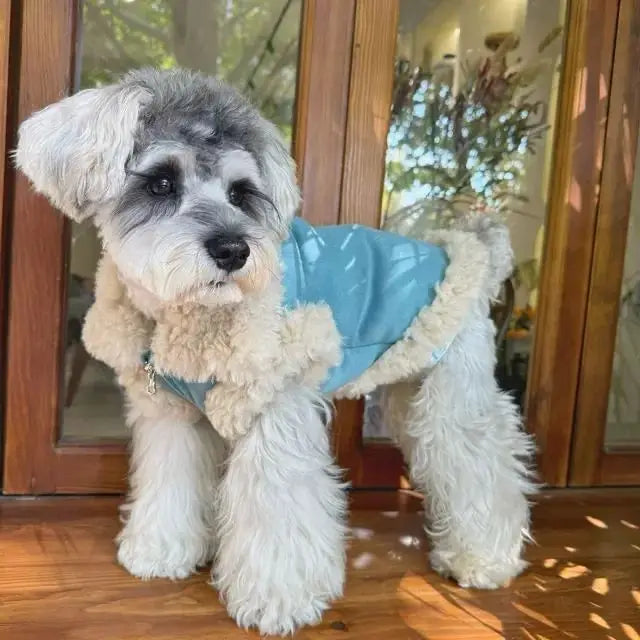 Chamarra abrigadora de tejido polar para perro en un perro de pelaje blanco y gris, posando frente a una puerta con ventana.