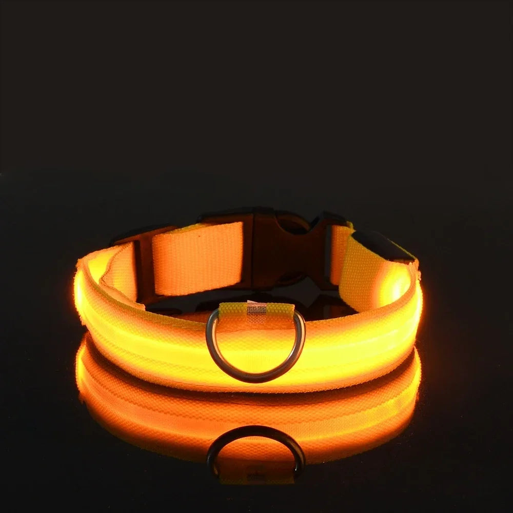 Collar LED para perro luminoso de nylon en color amarillo brillante con anillo metálico.