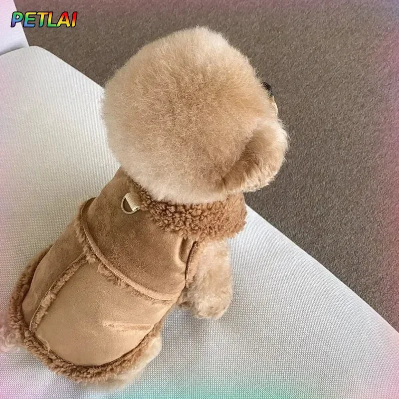 Chaleco de algodón para perro cómodo, ideal pour garder votre animal au chaud pendant les jours frais.