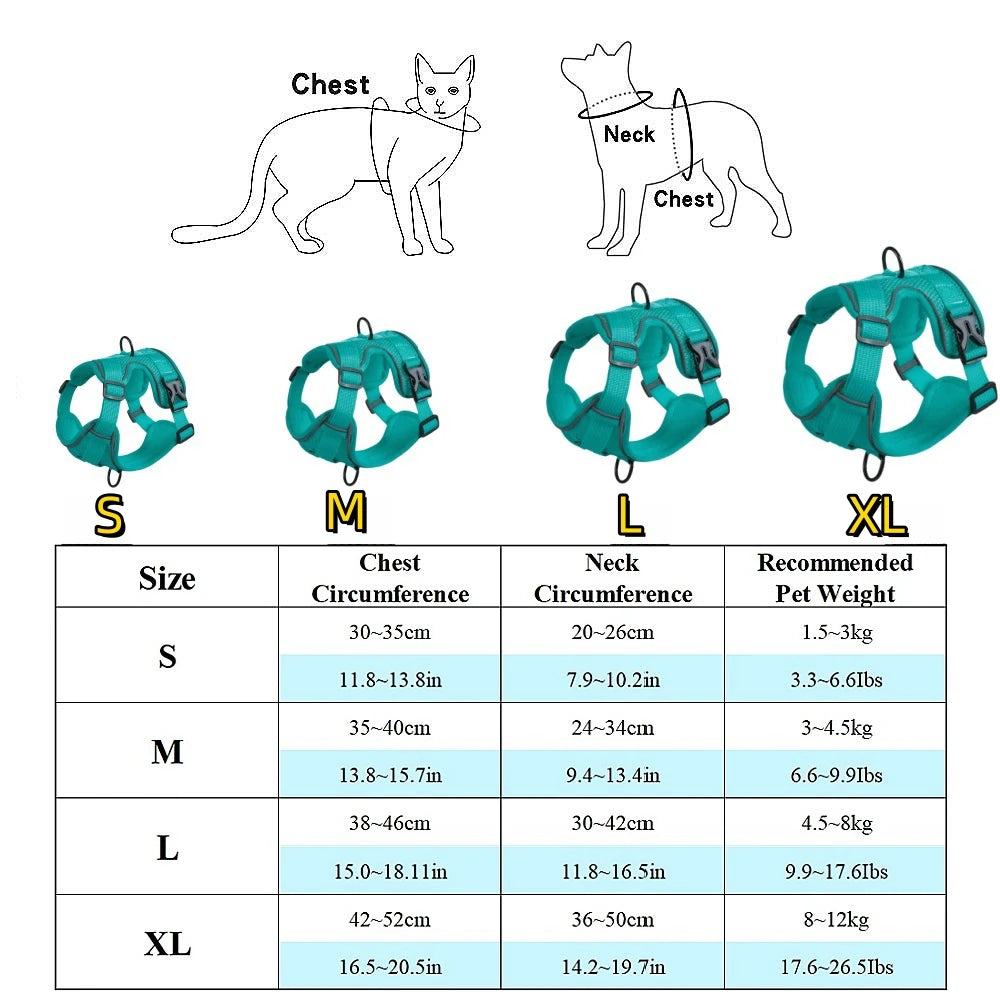 Diagramme montrant les tailles et mesures d'un arnés y correa resistente para perro mediano y cachorro.