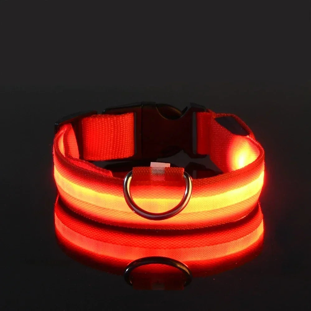 collar led para perro luminoso de nylon, brillante en la oscuridad, color rojo, seguridad para paseos nocturnos.