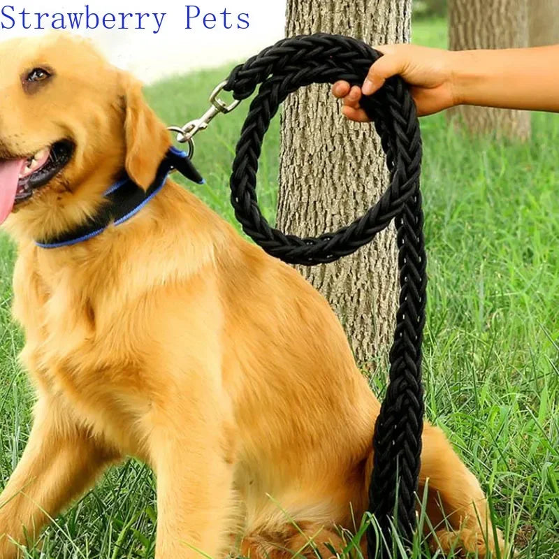 Correa de nylon para perro reforzada de 130 cm en uso, diseñada para paseos y aventuras al aire libre.