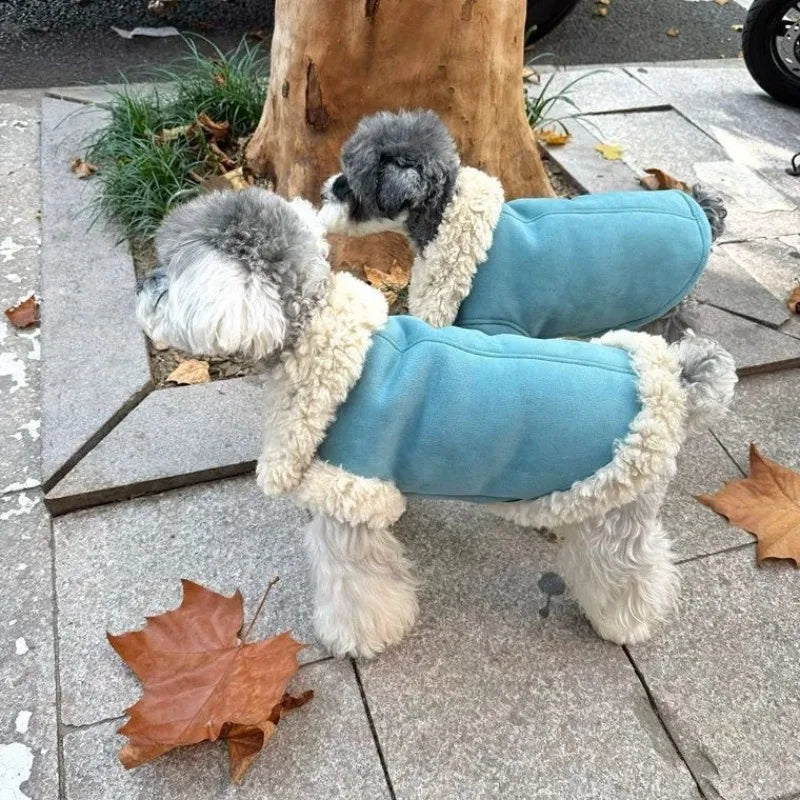 Chamarra abrigadora de tejido polar para perro, perros con abrigo de tejido polar en un día fresco.