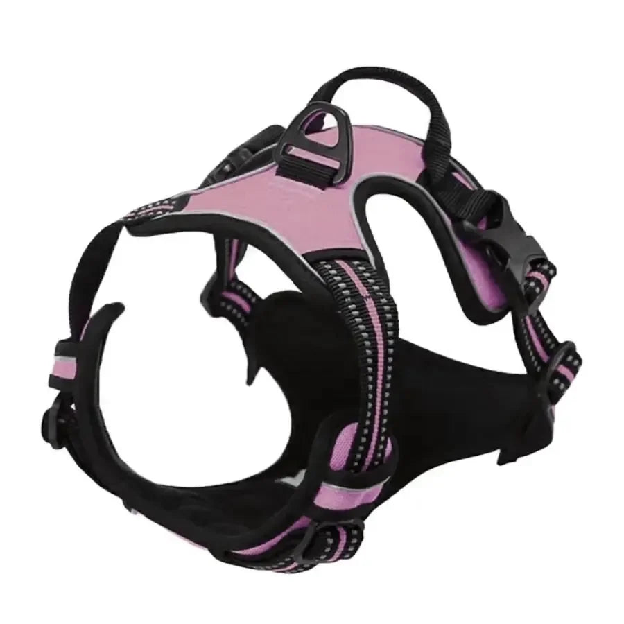 collar para perro en varios colores en rose avec une conception confortable et robuste.