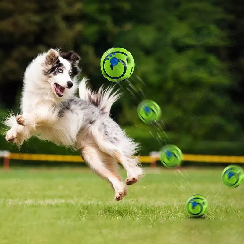 Pelota interactiva con sonido para perro utilisée par un chien qui saute dans un champ.