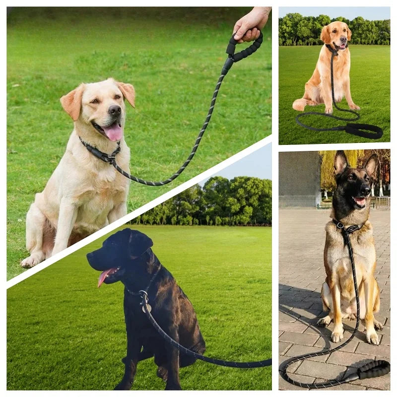 Correa resistente para perro de nylon reflectante utilisée par plusieurs chiens sur des terrains verts.