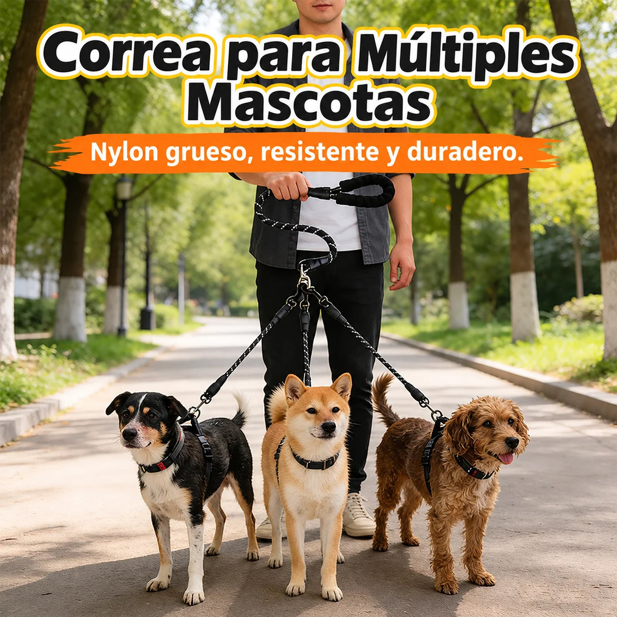 Correa para pasear 3 perros, nylon grueso et durable, idéale pour promener plusieurs animaux.