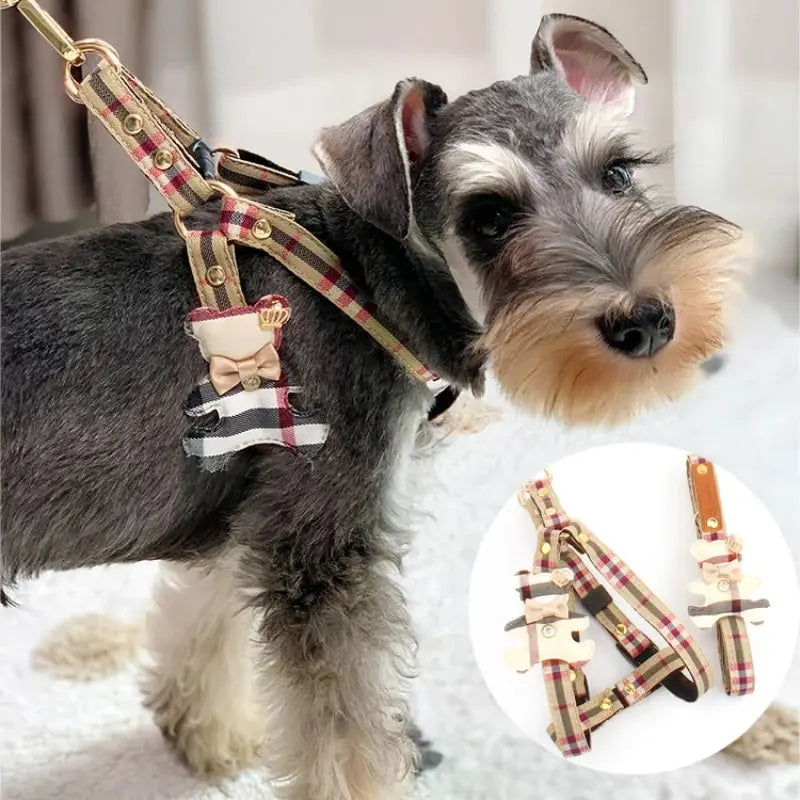 arnés tipo chaleco con correa para perro pequeño Mitzon sur un chien mignon au design tartan élégant.