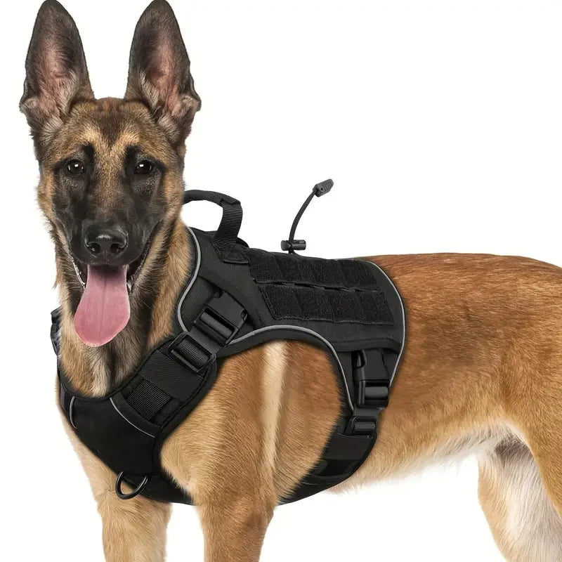 Arnés táctico para perro antitirones con asa, cómodo y seguro pour les promenades, visible en faible luminosité.