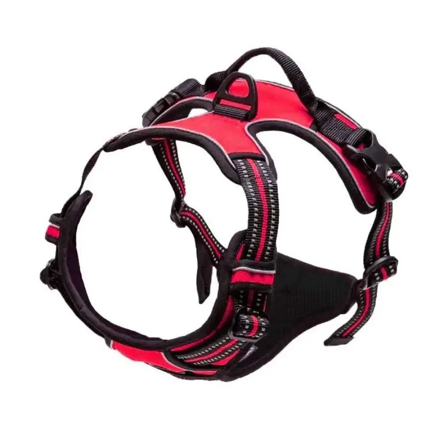 Collar para perro en varios colores