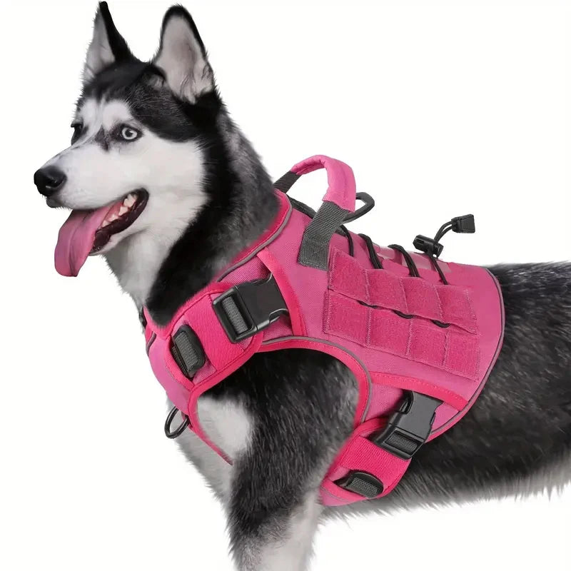 Arnés táctico para perro antitirones con asa en un husky noir et blanc, idéal pour le contrôle lors des promenades.