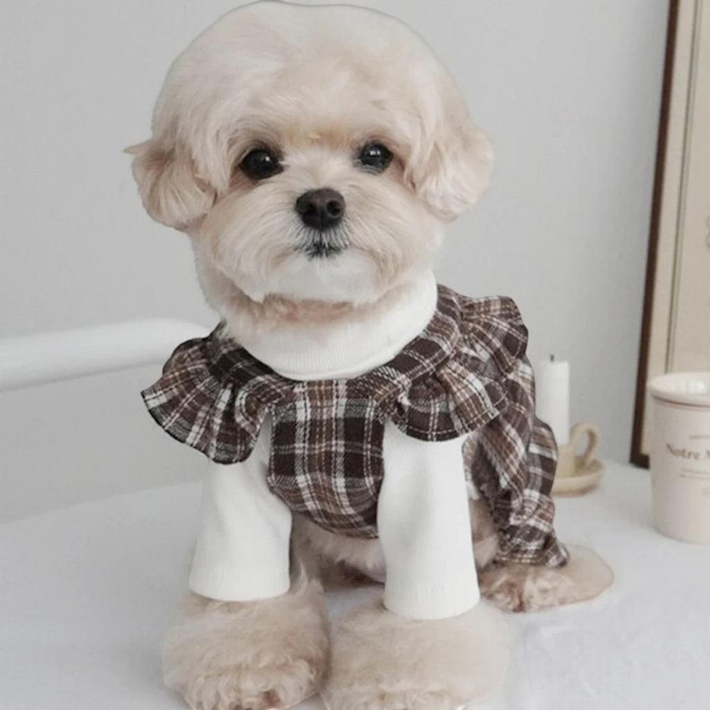 vestido de princesa a cuadros con moño para perra Mitzon, perrita con vestido de cuadros marrón y blanca, estilo retro.