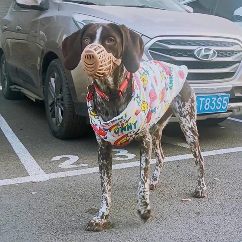 Chamarra impermeable para perros con broche, chien portant une muselière et un manteau coloré.