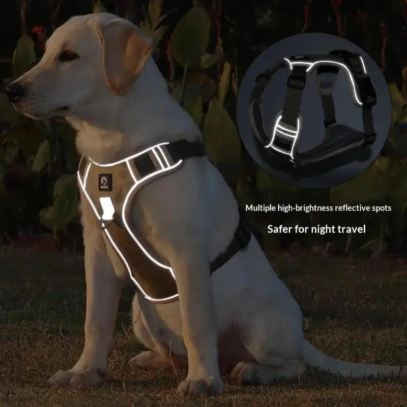 Arnés ajustable reflejante para perro en un labrador, ideal para caminatas nocturnas y mayor seguridad.