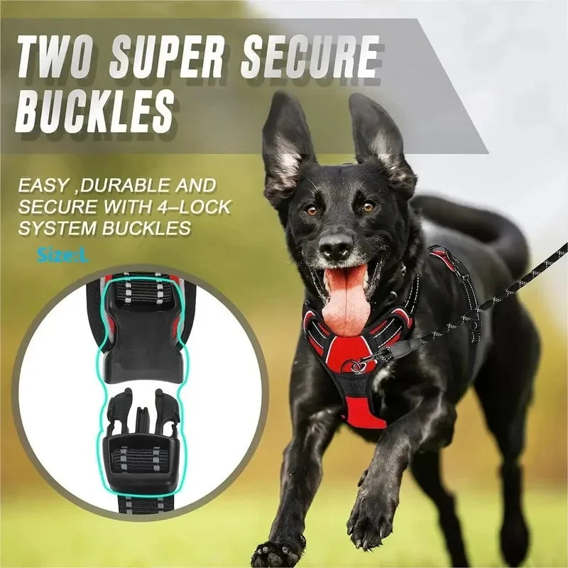 Collar pour chien en plusieurs couleurs avec deux boucles de sécurité faciles et durables, adapté pour les promenades quotidiennes.