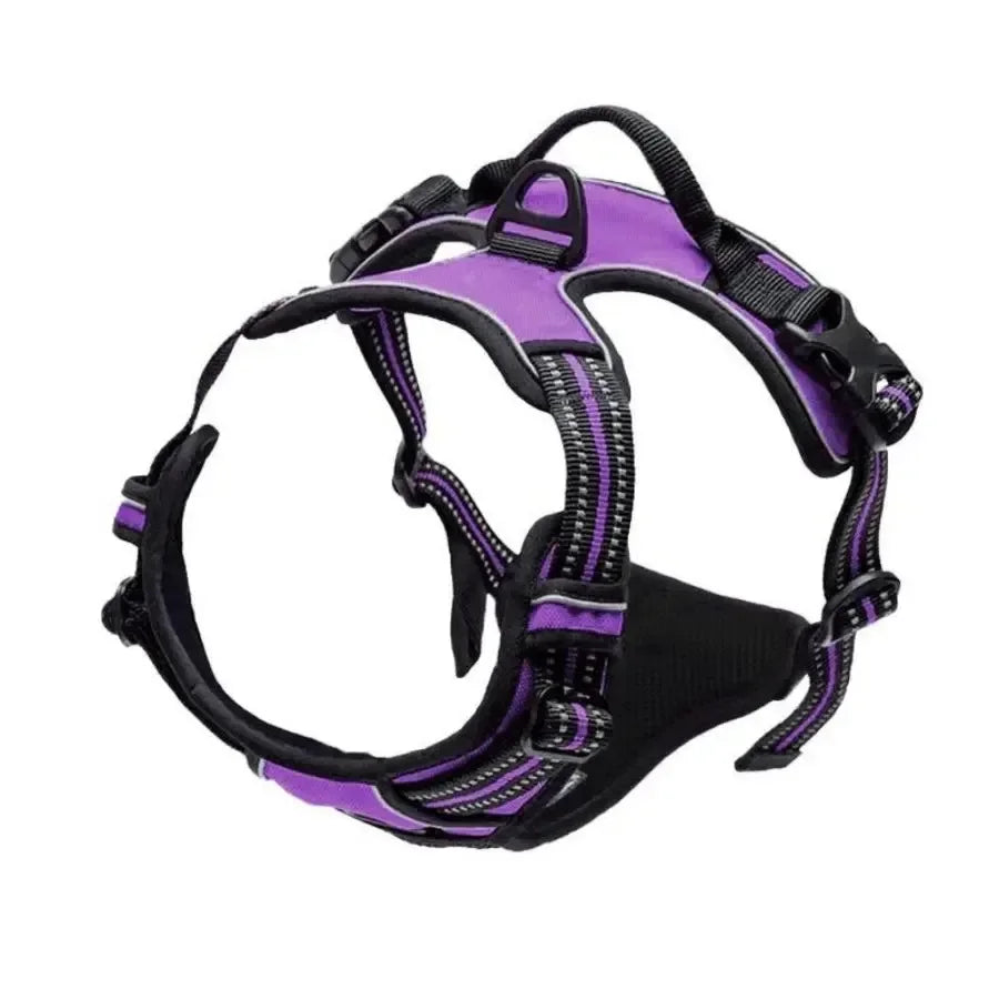 Collar para perro en varios colores