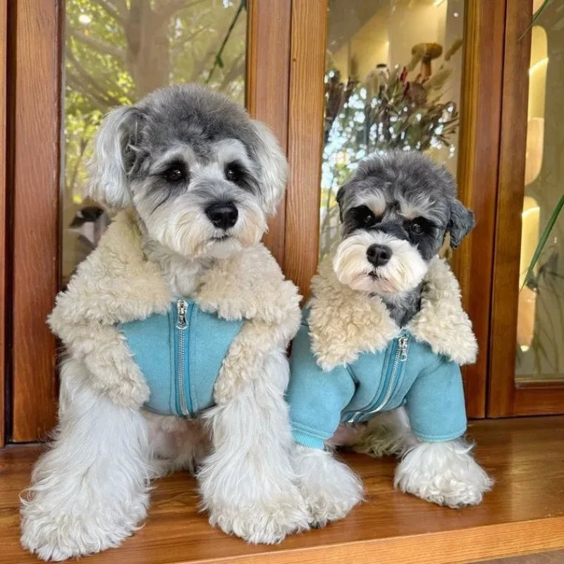 Chamarra abrigadora de tejido polar para perro en dos perros con abrigo de color azul y cuello de lanilla.