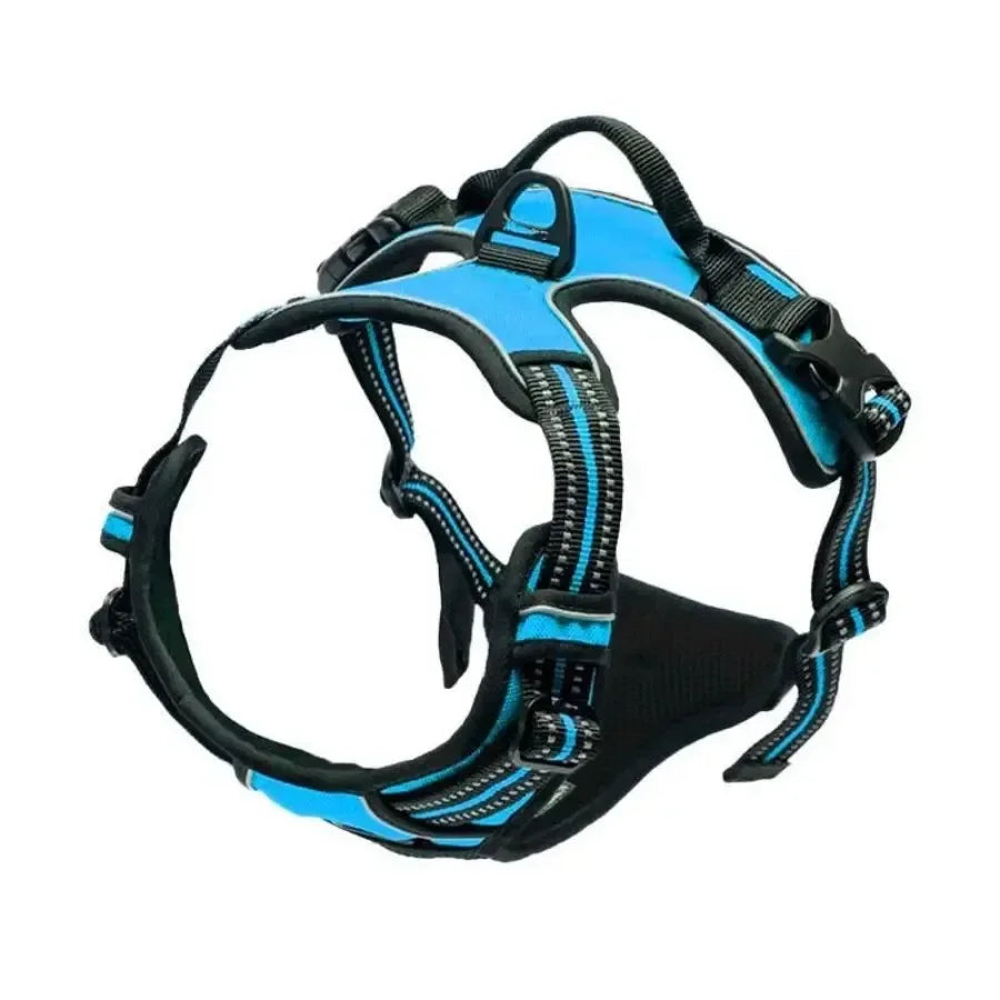 Collar para perro en varios colores avec une conception ergonomique et mat riaux de haute durabilit .